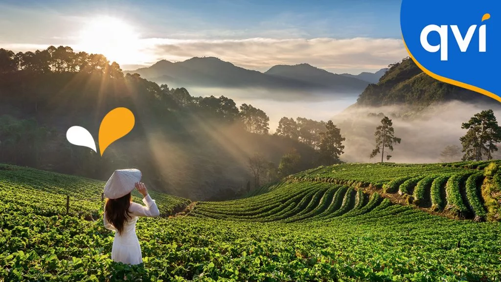 qvi image of a travel holiday of a women in a tea field 