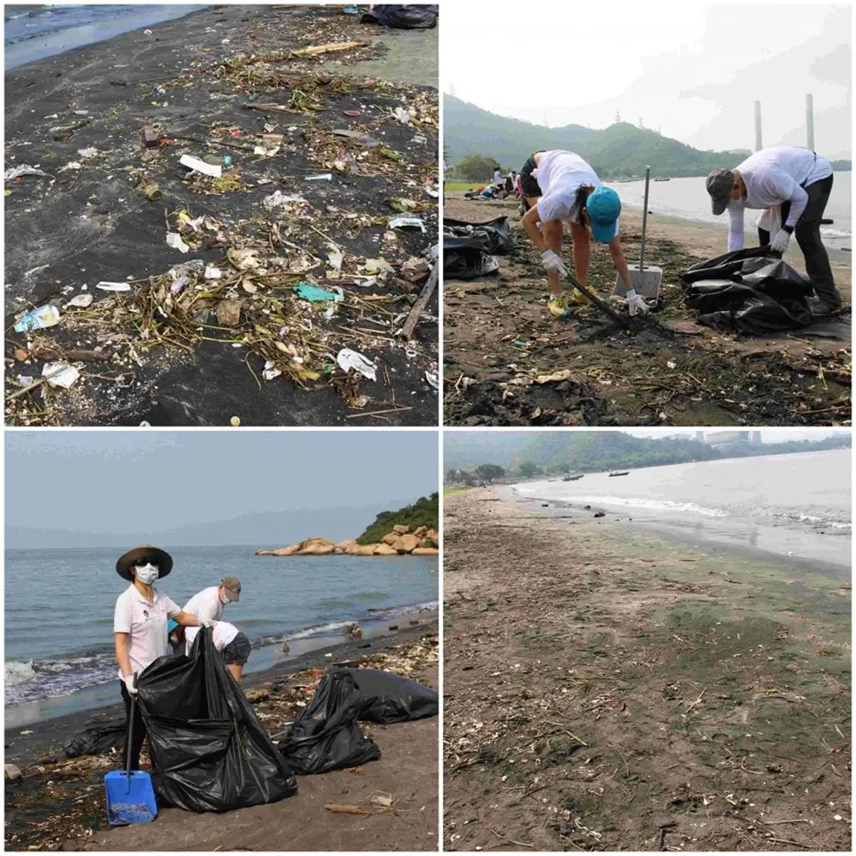 QNET